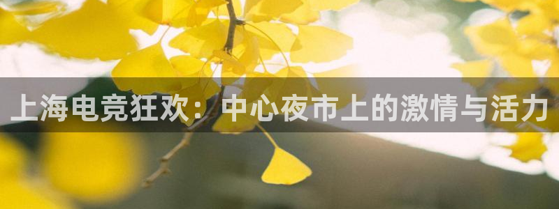 JJB电竞官方网站：上海电竞狂欢：中心夜市上的激情与活力