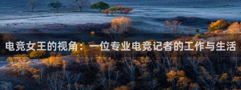 JJB电竞官：电竞女王的视角：一位专业电竞记者的工作与生活