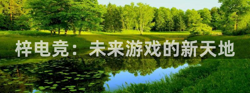 JJB电竞官：梓电竞：未来游戏的新天地