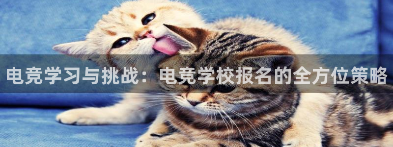 JJB电竞官方网站：电竞学习与挑战：电竞学校报名的全方位策略