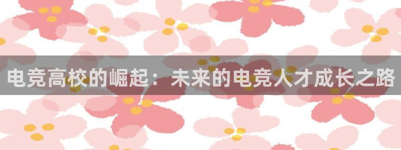 JJB电竞官：电竞高校的崛起：未来的电竞人才成长之路