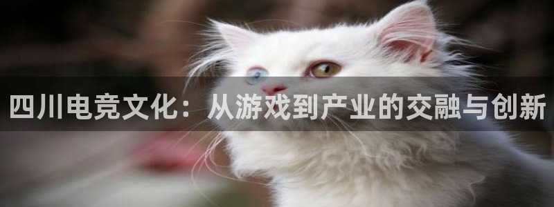 JJB电竞官：四川电竞文化：从游戏到产业的交融与创新