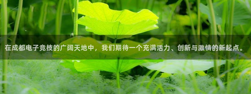 JJB电竞官方网站：在成都电子竞技的广阔天地中，我们期待一个充满活力、创新与激情的新起点。