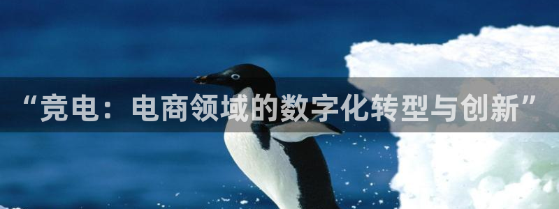 JJB电竞官：“竞电：电商领域的数字化转型与创新”